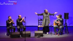 Privado: [ID: K9QFT7NL4vI] Youtube Automatic