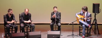 Privado: [ID: LCbNDMGCThw] Youtube Automatic