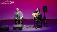 Privado: [ID: n4XNQqwJG8I] Youtube Automatic