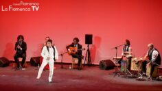 Privado: [ID: NhojNVSd-iM] Youtube Automatic