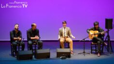 Privado: [ID: Rq9IuJHNvuE] Youtube Automatic