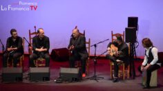 Privado: [ID: zpTnQLGAuYQ] Youtube Automatic