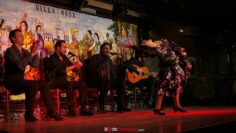 Privado: [ID: 3dzbdpCC6p4] Youtube Automatic