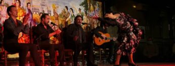 Privado: [ID: 3dzbdpCC6p4] Youtube Automatic