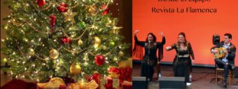 Privado: [ID: LQZBWJJKPX4] Youtube Automatic