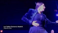 Privado: [ID: v0hahBsaS2M] Youtube Automatic