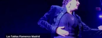 Privado: [ID: v0hahBsaS2M] Youtube Automatic