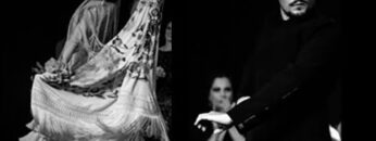 Privado: [ID: vCXf7BwPu9g] Youtube Automatic