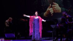 Privado: [ID: Xq1fGqIKsSE] Youtube Automatic