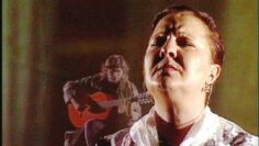 Privado: [ID: gWseI6jI0vk] Youtube Automatic