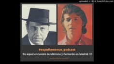 Privado: [ID: Mcfm4XUs5Ko] Youtube Automatic