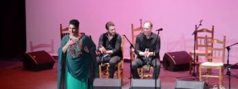 Privado: [ID: TTNEQLoTBVs] Youtube Automatic