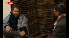 Privado: [ID: W53s4j250gk] Youtube Automatic