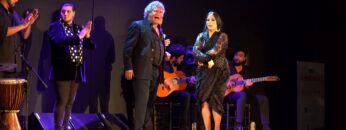 Privado: [ID: 3w0cjkIjScg] Youtube Automatic