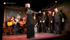 Privado: [ID: 53SswCff2dw] Youtube Automatic