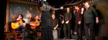 Privado: [ID: 53SswCff2dw] Youtube Automatic