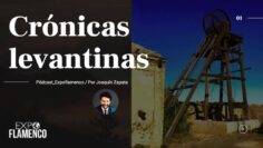 Privado: [ID: 5XrlP_LzA-Y] Youtube Automatic