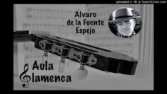 Privado: [ID: 7A_NfPa4uDI] Youtube Automatic