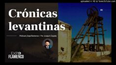 Privado: [ID: miovZZdWDak] Youtube Automatic