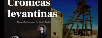 Privado: [ID: miovZZdWDak] Youtube Automatic