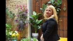 Privado: [ID: n4-t1iFYwy0] Youtube Automatic