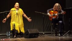 Privado: [ID: OkcCpVAmGAY] Youtube Automatic