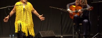 Privado: [ID: OkcCpVAmGAY] Youtube Automatic