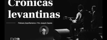 Privado: [ID: WK7igsHOjUA] Youtube Automatic