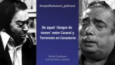 Privado: [ID: 9kulwcD8NSc] Youtube Automatic