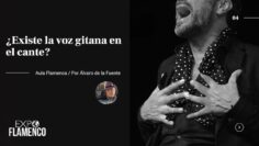 Privado: [ID: am1pySjuDDM] Youtube Automatic