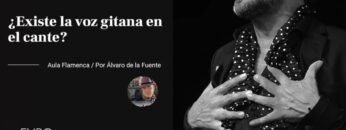 Privado: [ID: am1pySjuDDM] Youtube Automatic