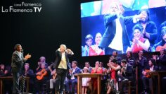 Privado: [ID: eAosKqHWJKE] Youtube Automatic