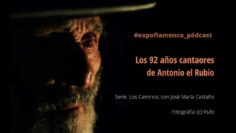 Privado: [ID: kcAalRgHgAQ] Youtube Automatic