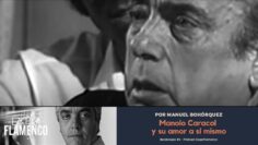 Privado: [ID: kuVQhagn7Hg] Youtube Automatic