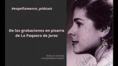 Privado: [ID: lPw0E87VgdI] Youtube Automatic