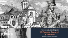 Privado: [ID: PNieWIQcrSI] Youtube Automatic