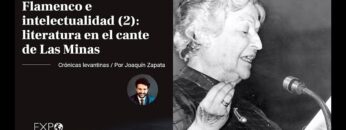 Privado: [ID: _V1MncV2TTk] Youtube Automatic