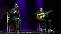 Privado: [ID: 0_JHTMS9HSY] Youtube Automatic