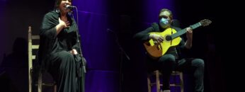 Privado: [ID: 0_JHTMS9HSY] Youtube Automatic