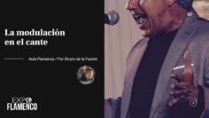 Privado: [ID: 1k6AOse5Cu0] Youtube Automatic