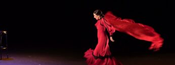 Privado: [ID: b1OcgASCeeA] Youtube Automatic