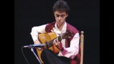 Privado: [ID: eebuhOHvd_w] Youtube Automatic