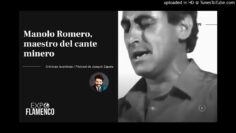 Privado: [ID: HE85Syp8lb4] Youtube Automatic