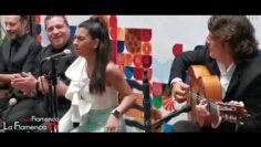 Privado: [ID: _J_rG42R918] Youtube Automatic