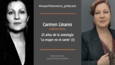 Privado: [ID: nXqB2cQcKhI] Youtube Automatic