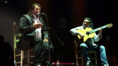 Privado: [ID: S0iCa7biH_g] Youtube Automatic