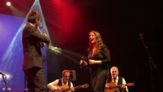 Privado: [ID: WHXGG3OuRDM] Youtube Automatic