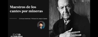 Privado: [ID: X3O5N-UxyDc] Youtube Automatic