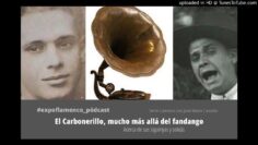 Privado: [ID: Zvq-LE87174] Youtube Automatic