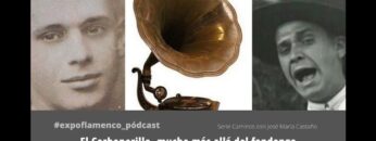 Privado: [ID: Zvq-LE87174] Youtube Automatic